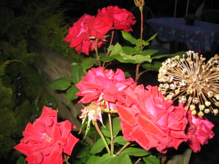 Billeder 2005 2006 2007 092