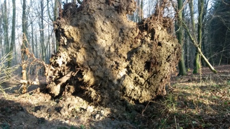 20140203 142138 Kopi