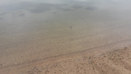 20141017 104418 Kopi